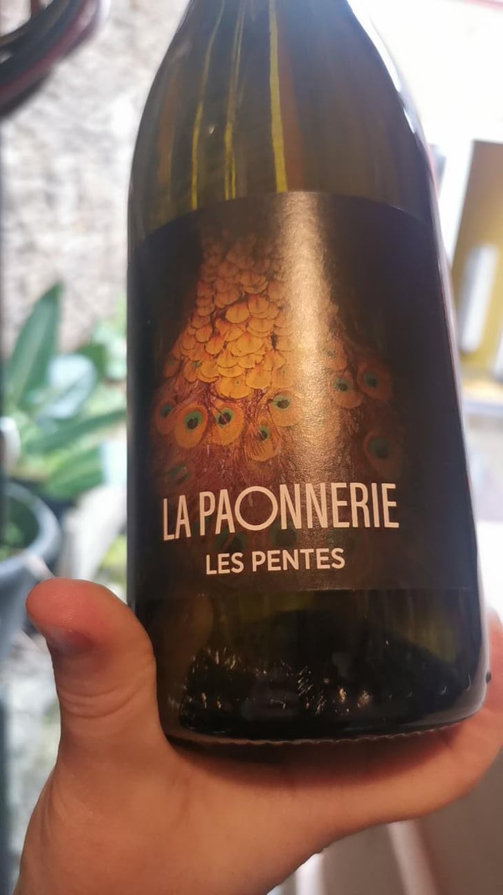 Les pentes - La Paonnerie - Marie Carroget 