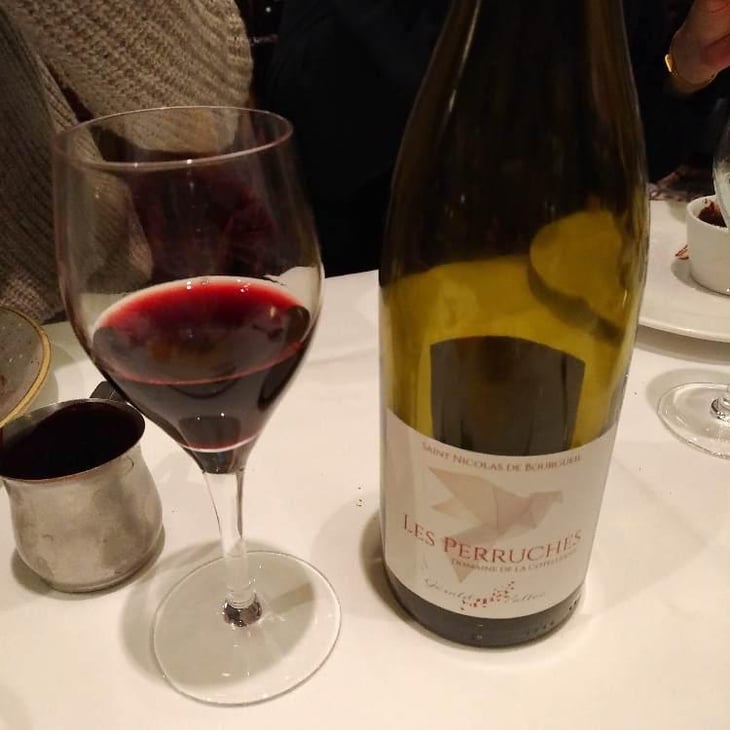 Les Perruches - Saint Nicolas de Bourgueil - Gérald Vallée 