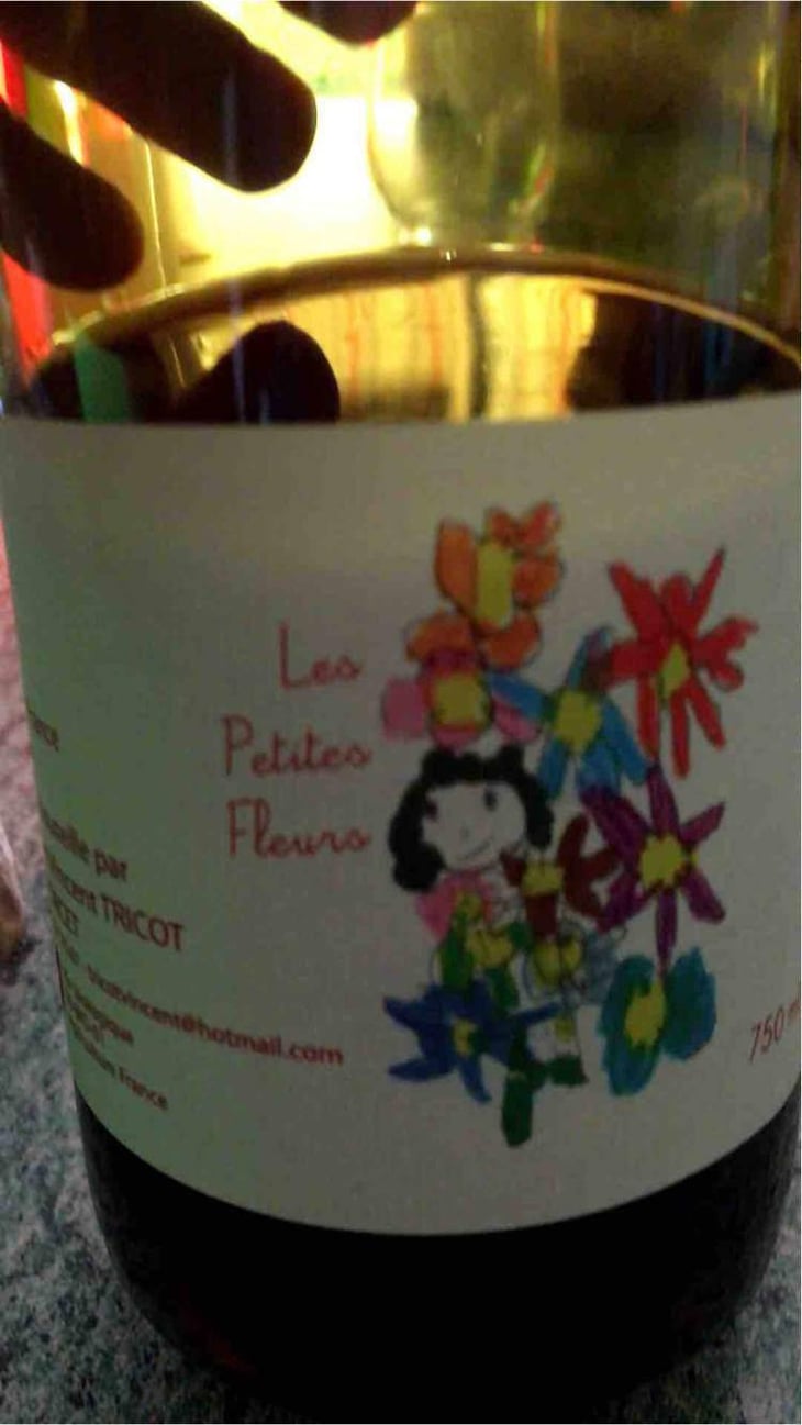 Les Petites Fleurs - Marie et Vincent Tricot - Vincent et Marie Tricot 