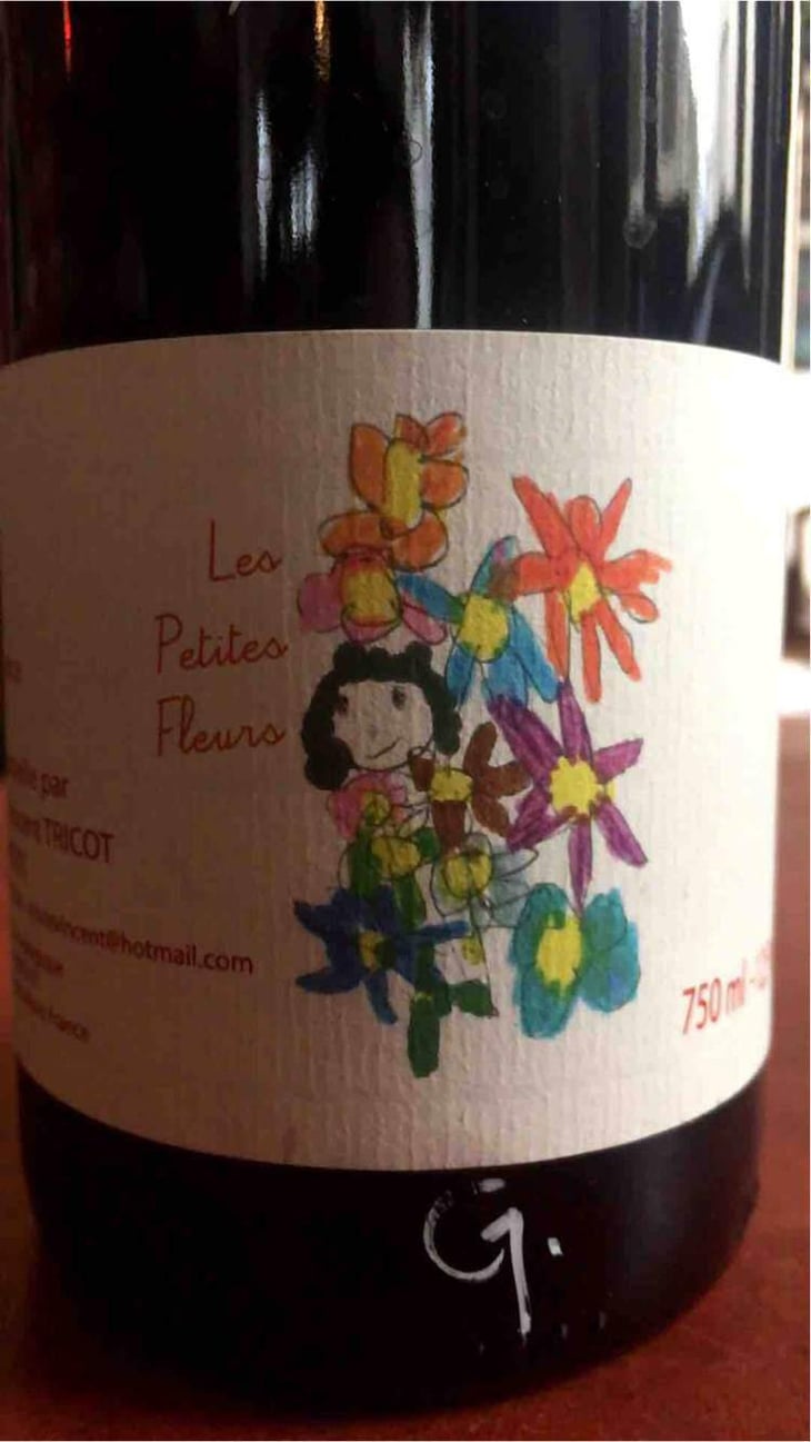 Les Petites Fleurs - Marie et Vincent Tricot - Vincent et Marie Tricot 