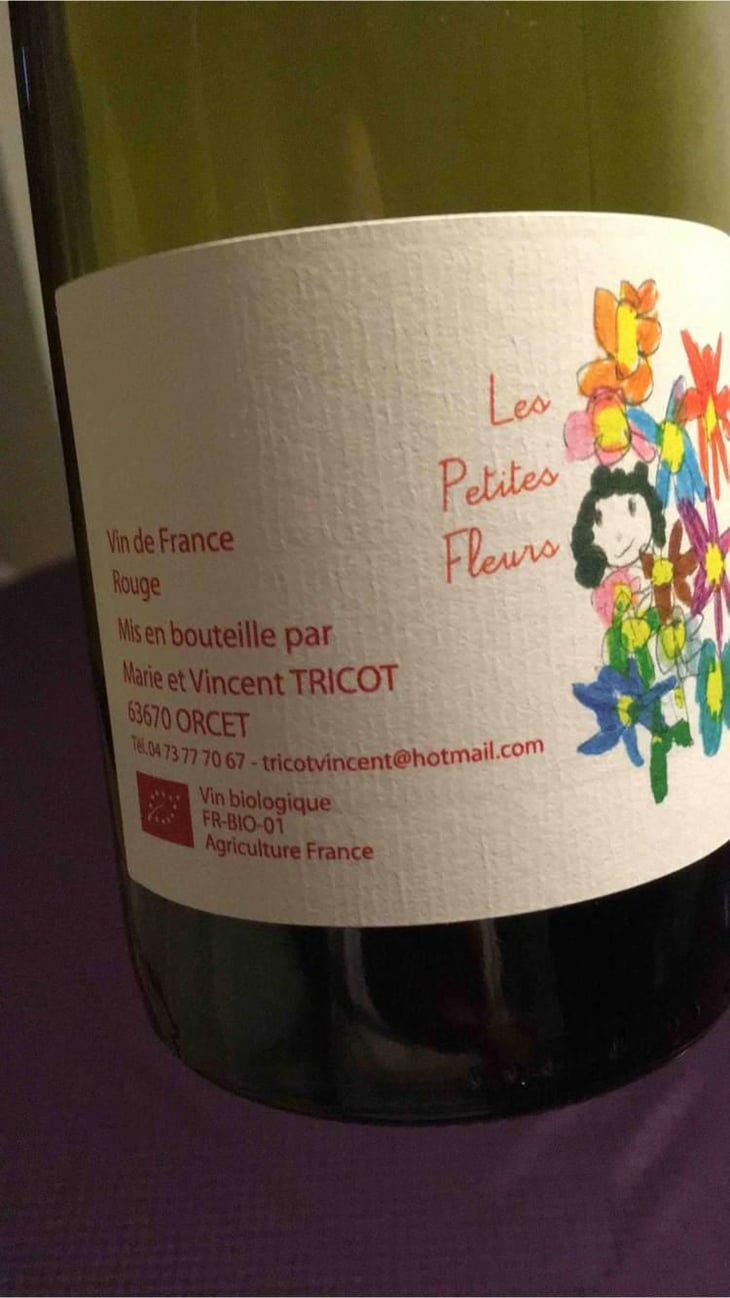 Les Petites Fleurs - Marie et Vincent Tricot - Vincent et Marie Tricot 