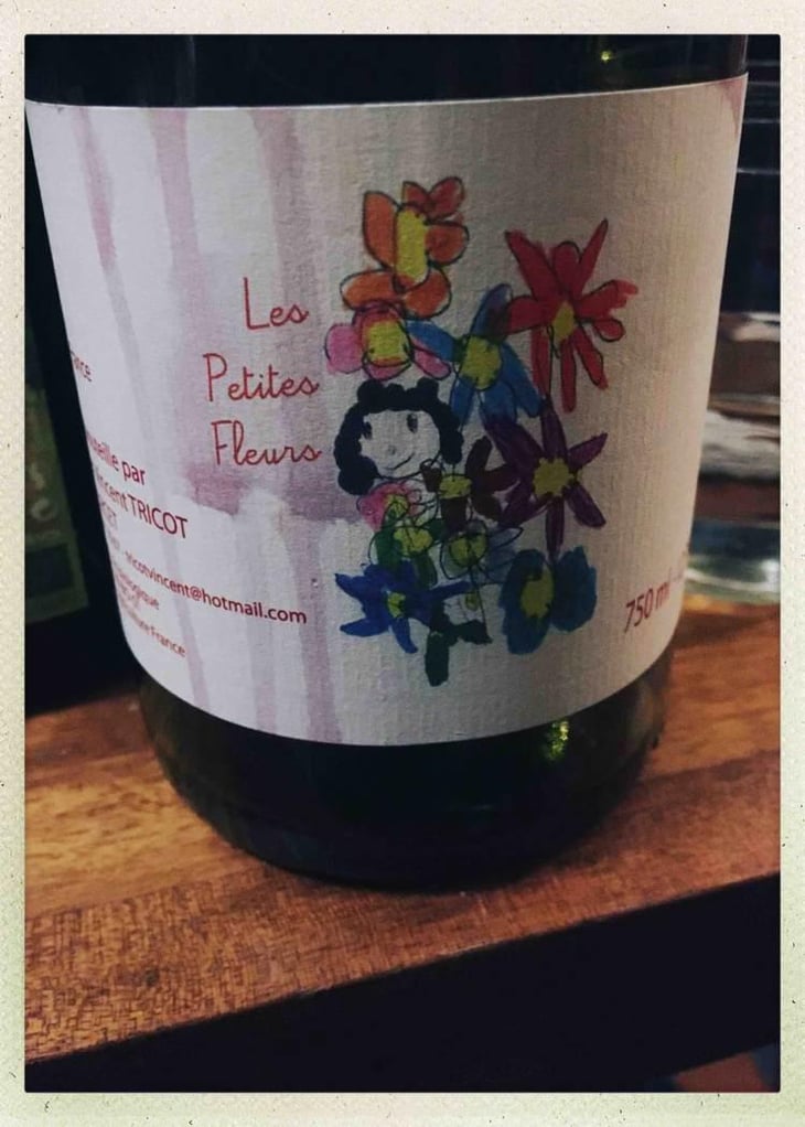 Les Petites Fleurs - Marie et Vincent Tricot - Vincent et Marie Tricot 