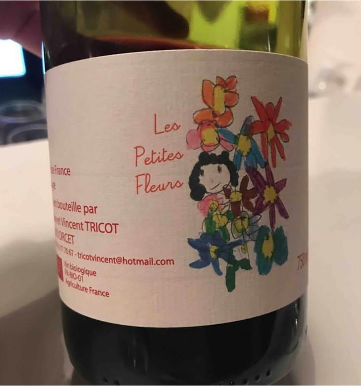 Les Petites Fleurs - Marie et Vincent Tricot - Vincent et Marie Tricot 