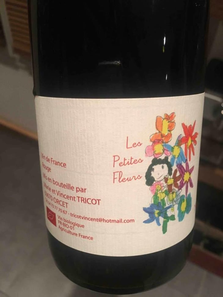 Les Petites Fleurs - Marie et Vincent Tricot - Vincent et Marie Tricot 