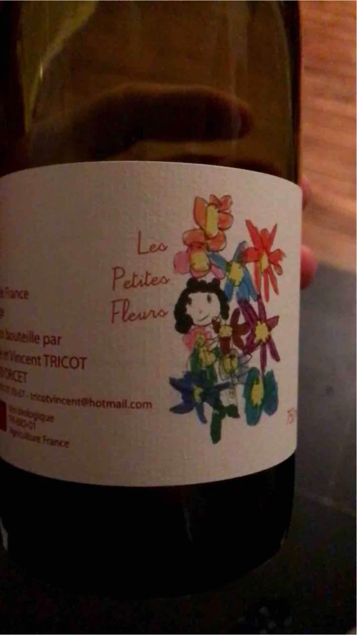 Les Petites Fleurs - Marie et Vincent Tricot - Vincent et Marie Tricot 