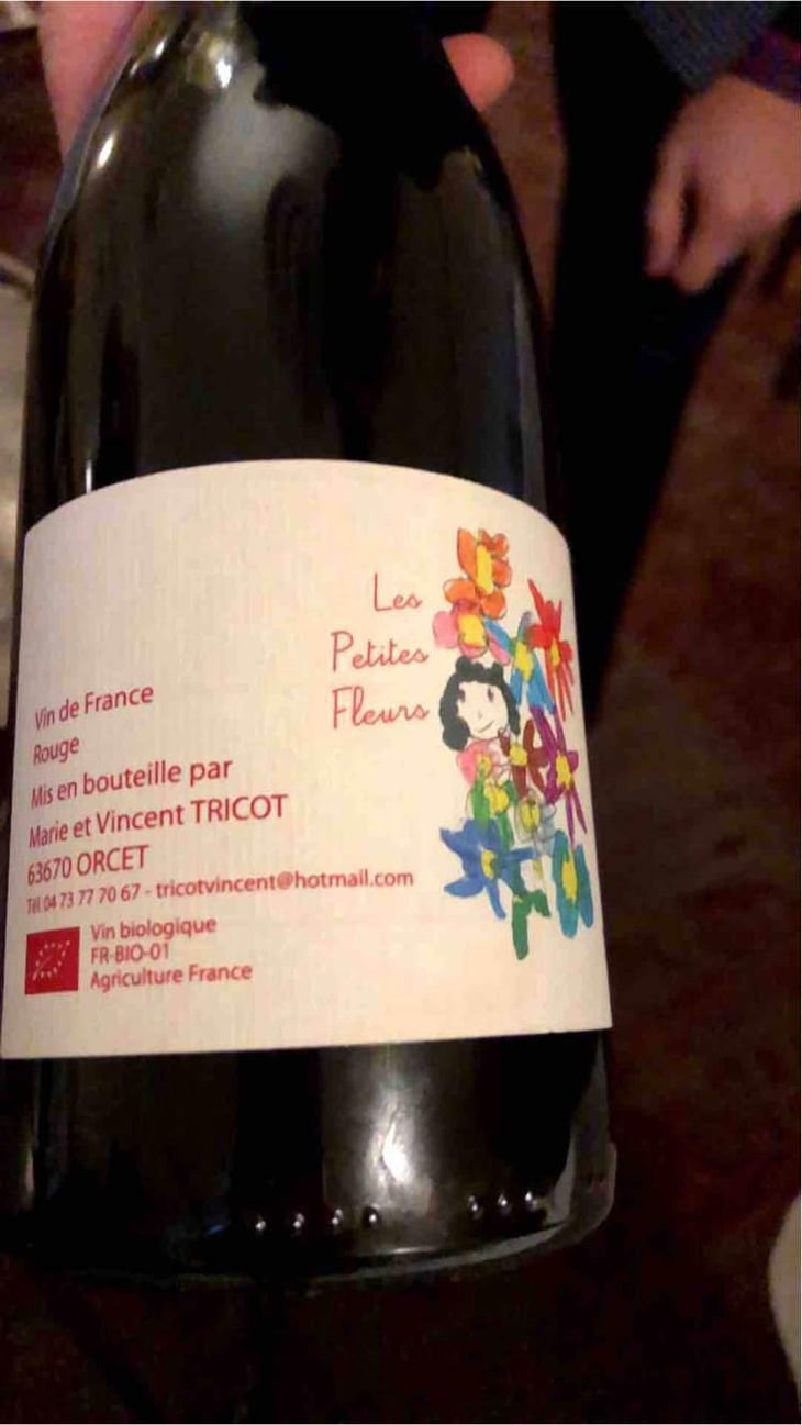 Les Petites Fleurs - Marie et Vincent Tricot - Vincent et Marie Tricot 