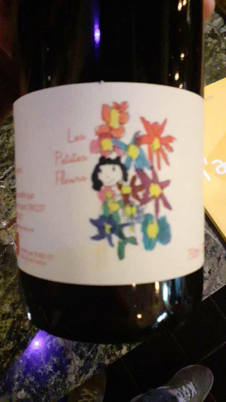 Les Petites Fleurs - Marie et Vincent Tricot - Vincent et Marie Tricot 