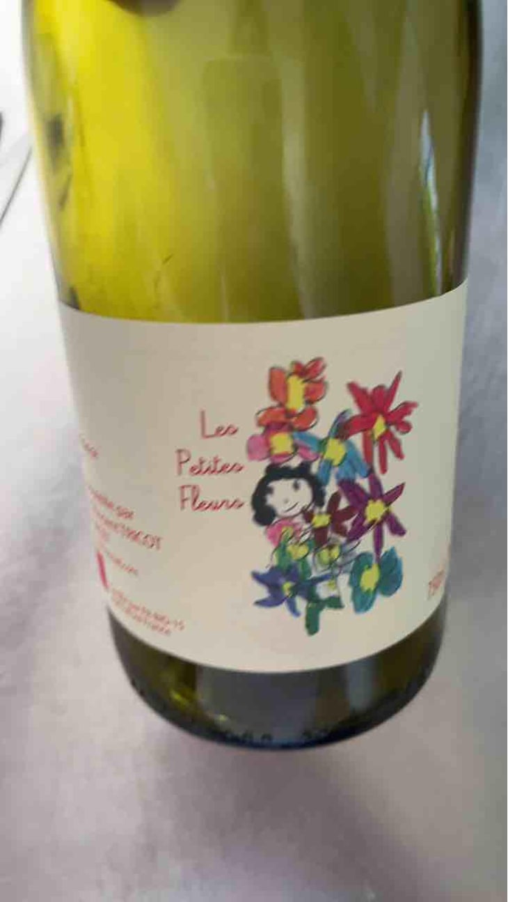 Les Petites Fleurs - Marie et Vincent Tricot - Vincent et Marie Tricot 