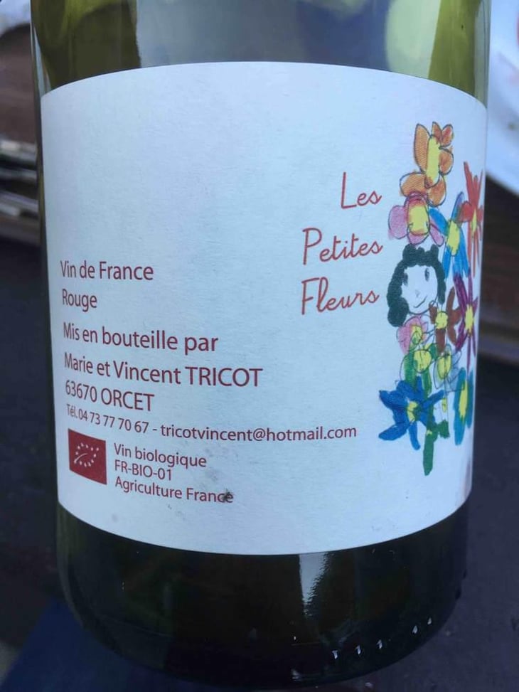 Les Petites Fleurs - Marie et Vincent Tricot - Vincent et Marie Tricot 