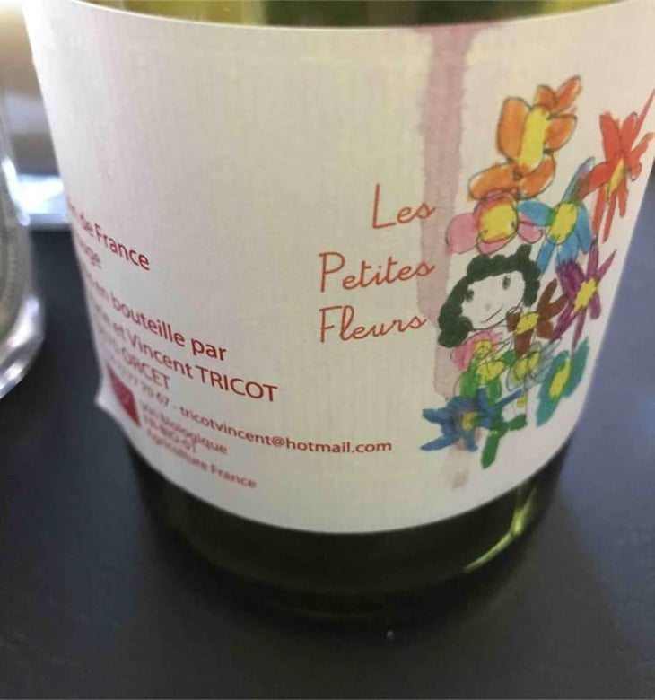 Les Petites Fleurs - Marie et Vincent Tricot - Vincent et Marie Tricot 