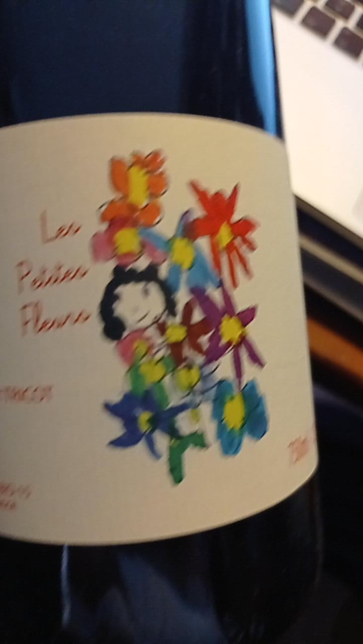 Les Petites Fleurs - Marie et Vincent Tricot - Vincent et Marie Tricot 
