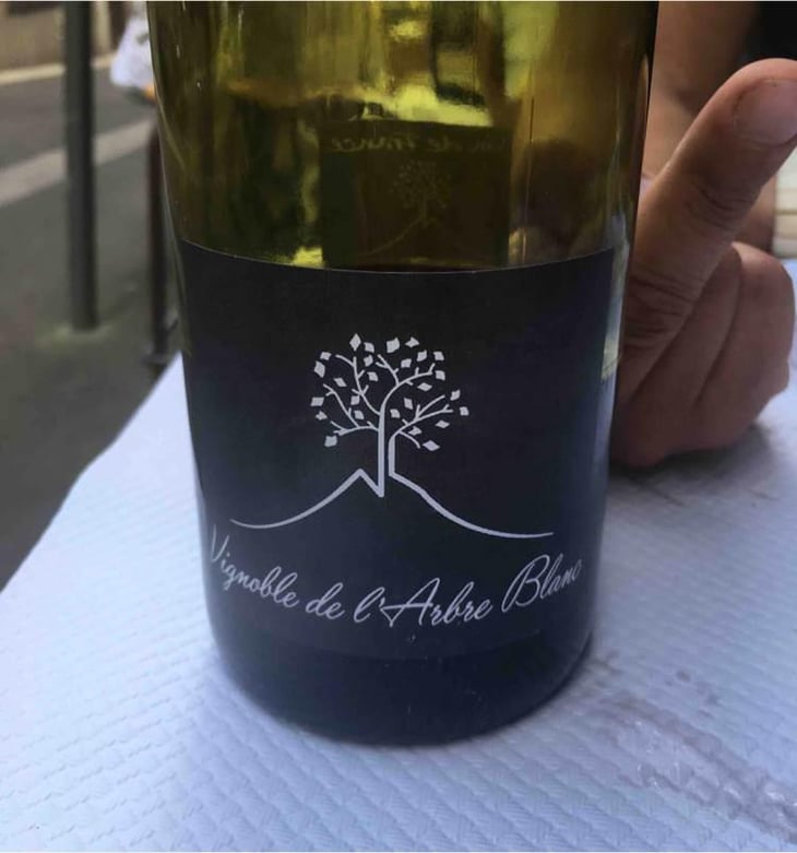 Les Petites Orgues - Domaine de l'Arbre Blanc - Frédéric Gounan 