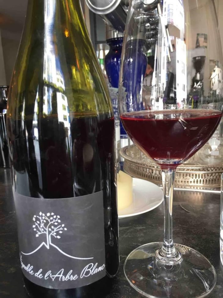 Les Petites Orgues - Domaine de l'Arbre Blanc - Frédéric Gounan 