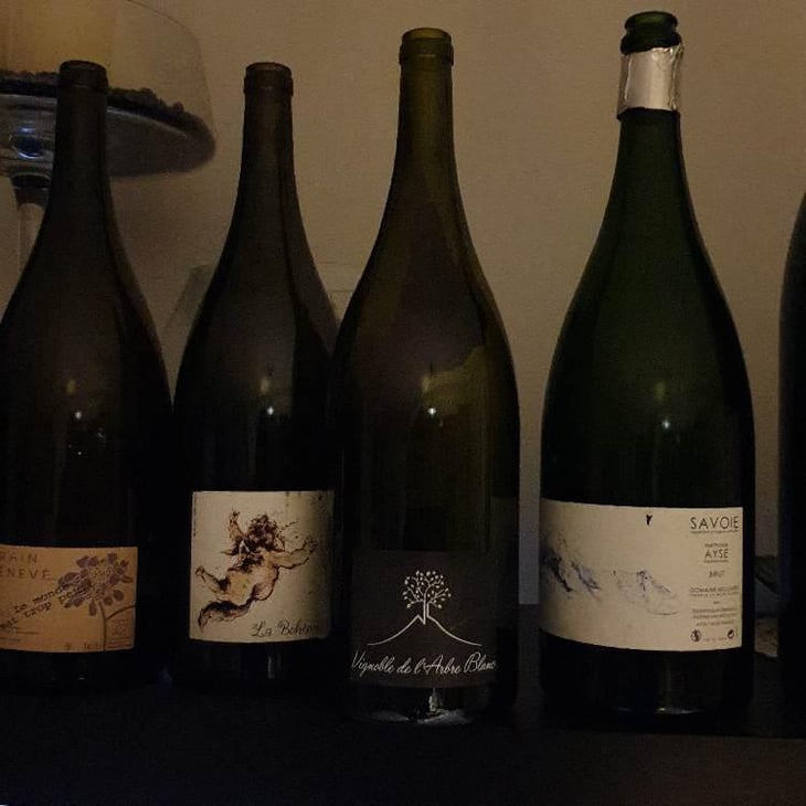 Les Petites Orgues - Domaine de l'Arbre Blanc - Frédéric Gounan 