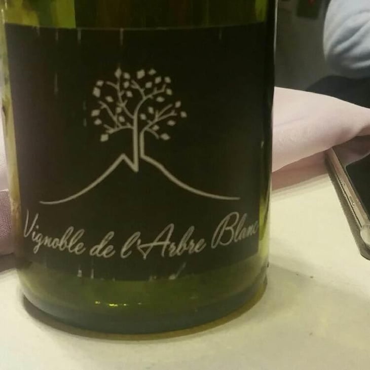 Les Petites Orgues - Domaine de l'Arbre Blanc - Frédéric Gounan 