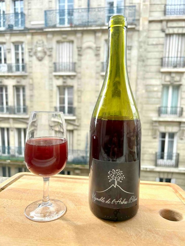 Les Petites Orgues - Domaine de l'Arbre Blanc - Frédéric Gounan 
