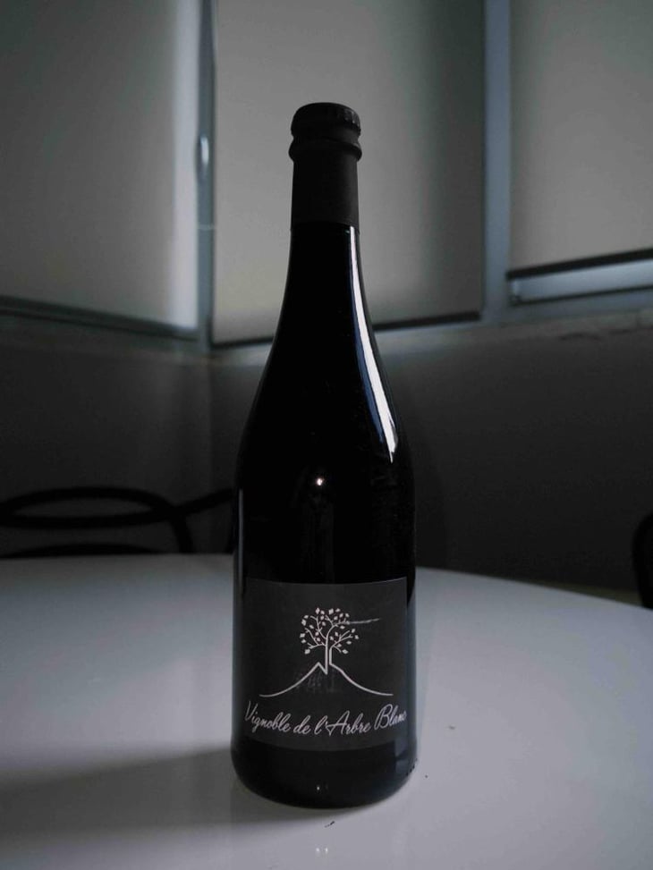 Les Petites Orgues - Domaine de l'Arbre Blanc - Frédéric Gounan 