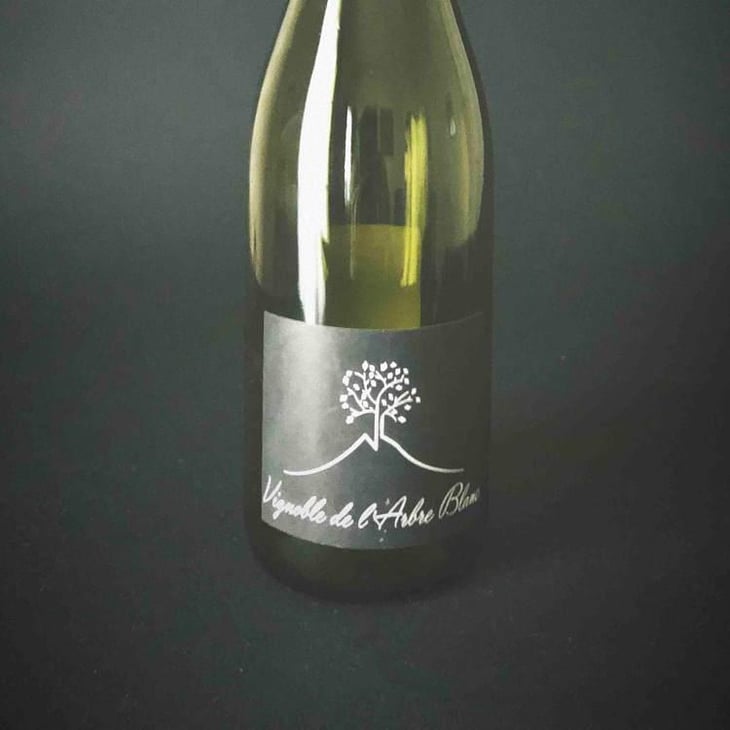 Les Petites Orgues - Domaine de l'Arbre Blanc - Frédéric Gounan 
