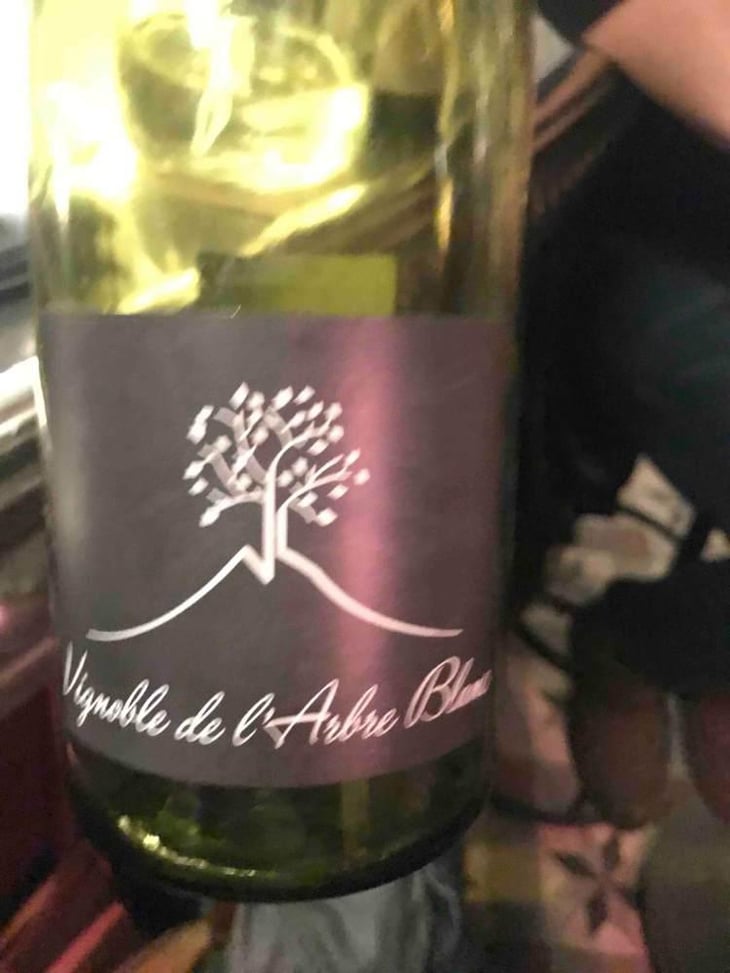 Les Petites Orgues - Domaine de l'Arbre Blanc - Frédéric Gounan 