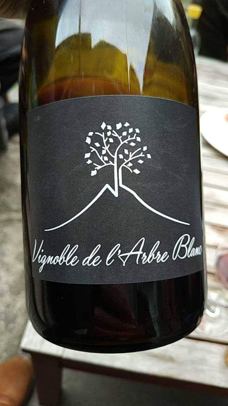 Les Petites Orgues - Domaine de l'Arbre Blanc - Frédéric Gounan 