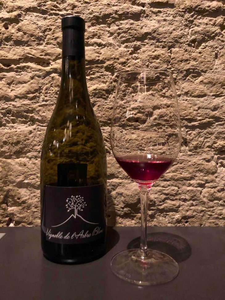 Les Petites Orgues - Domaine de l'Arbre Blanc - Frédéric Gounan 
