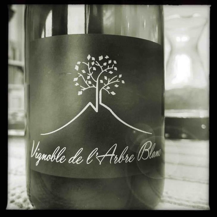 Les Petites Orgues - Domaine de l'Arbre Blanc - Frédéric Gounan 