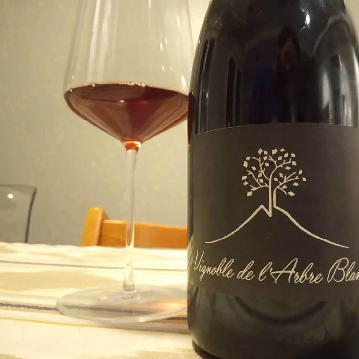 Les Petites Orgues - Domaine de l'Arbre Blanc - Frédéric Gounan 
