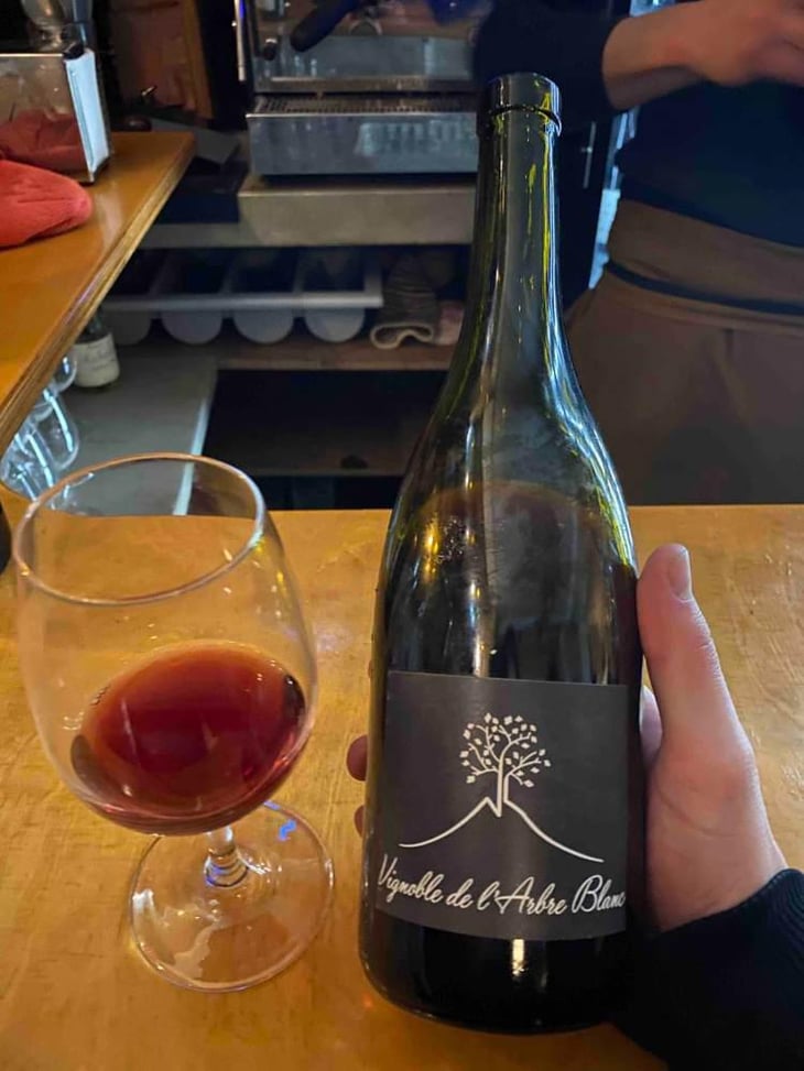 Les Petites Orgues - Domaine de l'Arbre Blanc - Frédéric Gounan 