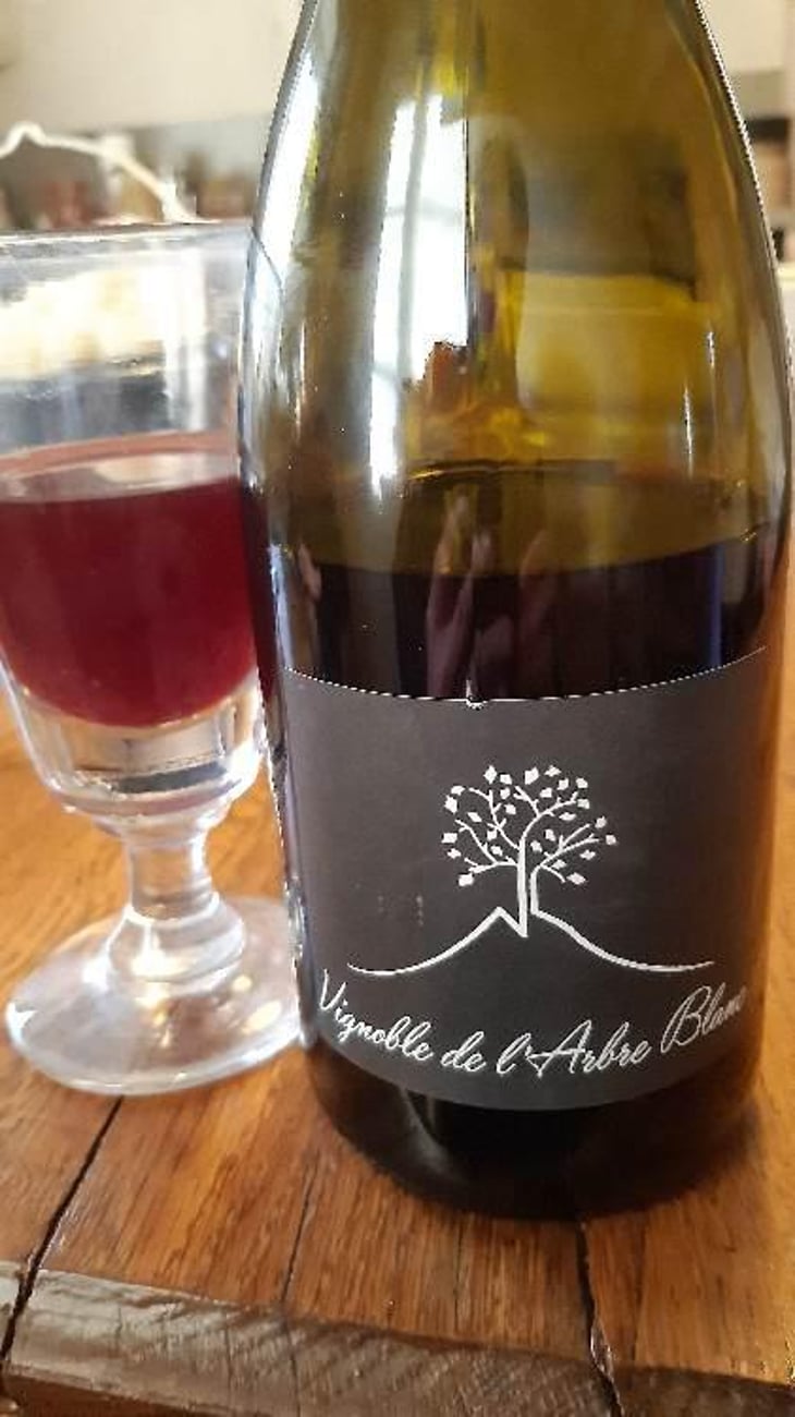 Les Petites Orgues - Domaine de l'Arbre Blanc - Frédéric Gounan 