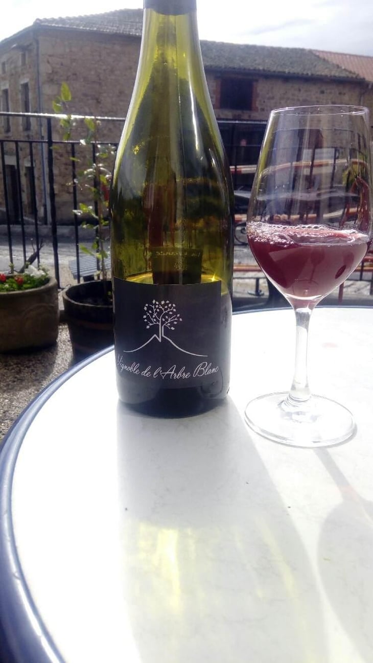 Les Petites Orgues - Domaine de l'Arbre Blanc - Frédéric Gounan 