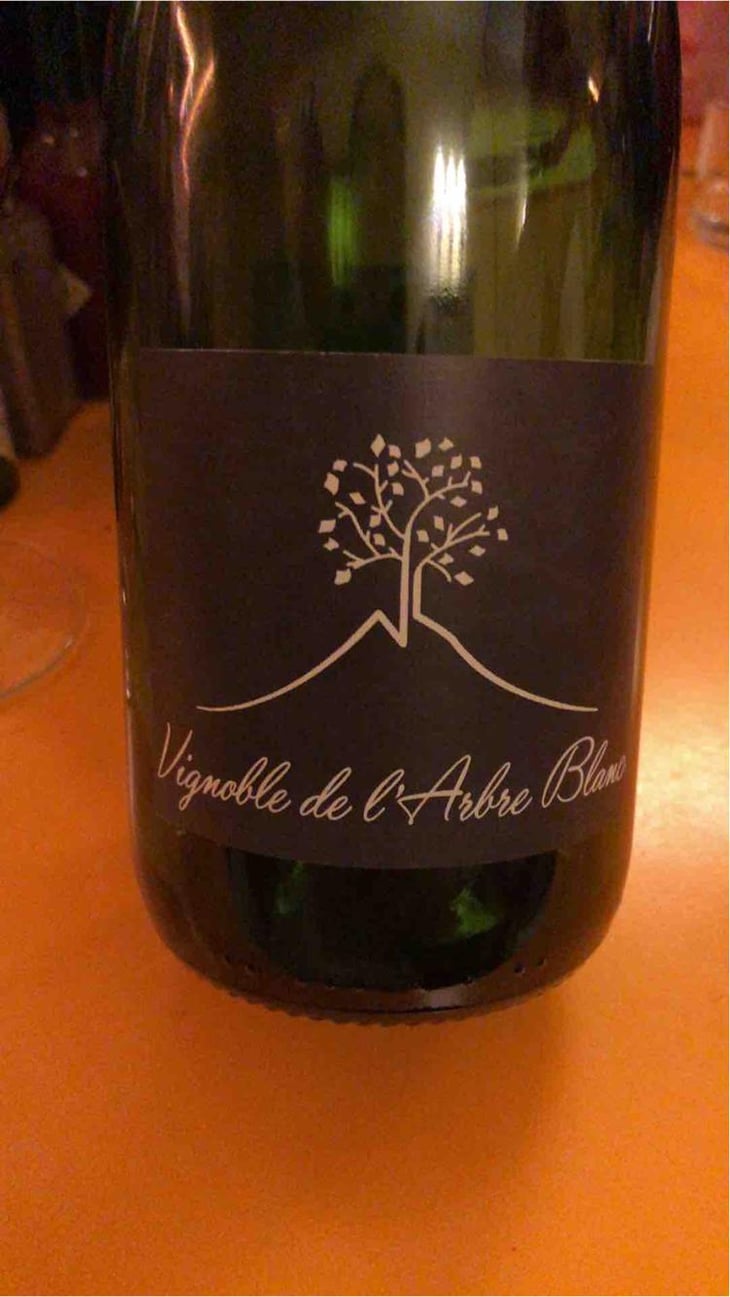 Les Petites Orgues - Domaine de l'Arbre Blanc - Frédéric Gounan 
