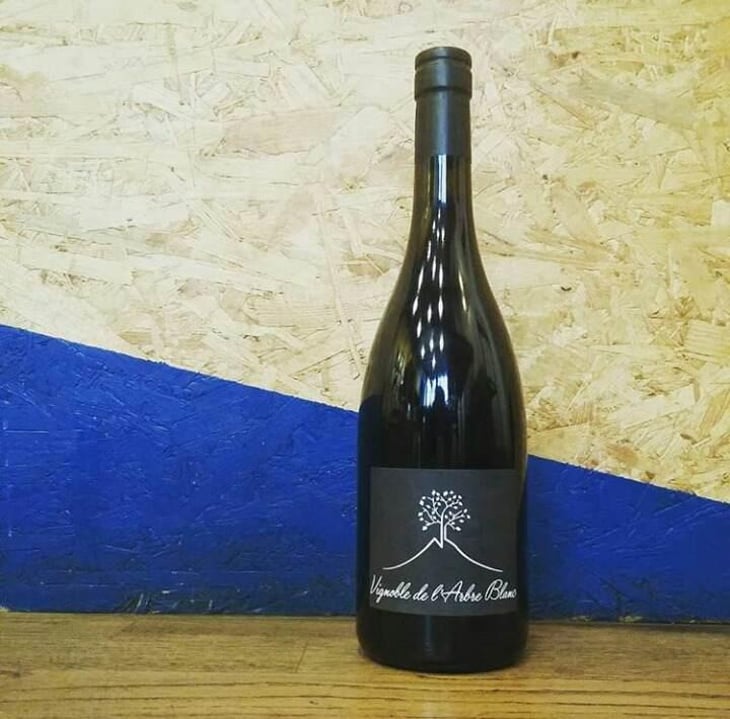 Les Petites Orgues - Domaine de l'Arbre Blanc - Frédéric Gounan 
