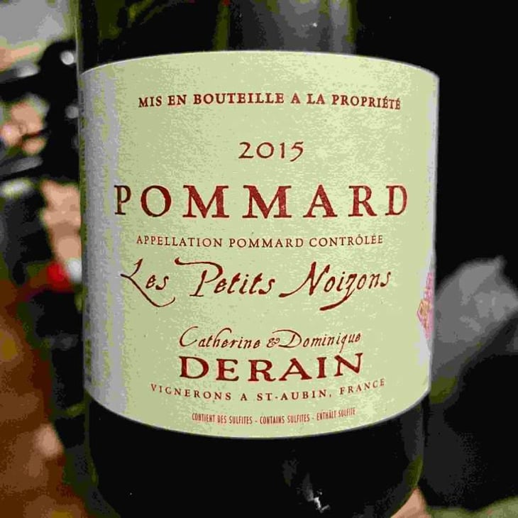 Les Petits Noizons - Domaine Derain - Julien Altaber & Carole Shwab, Domique Derain 
