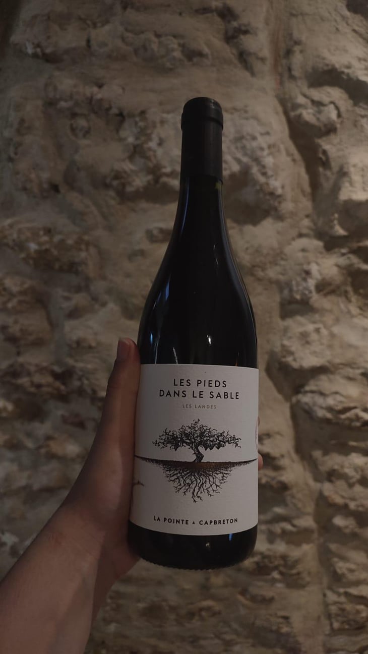 Les Pieds Dans Le Sable Rouge - Domaine De La Pointe - Cyril & Julie Laudet 