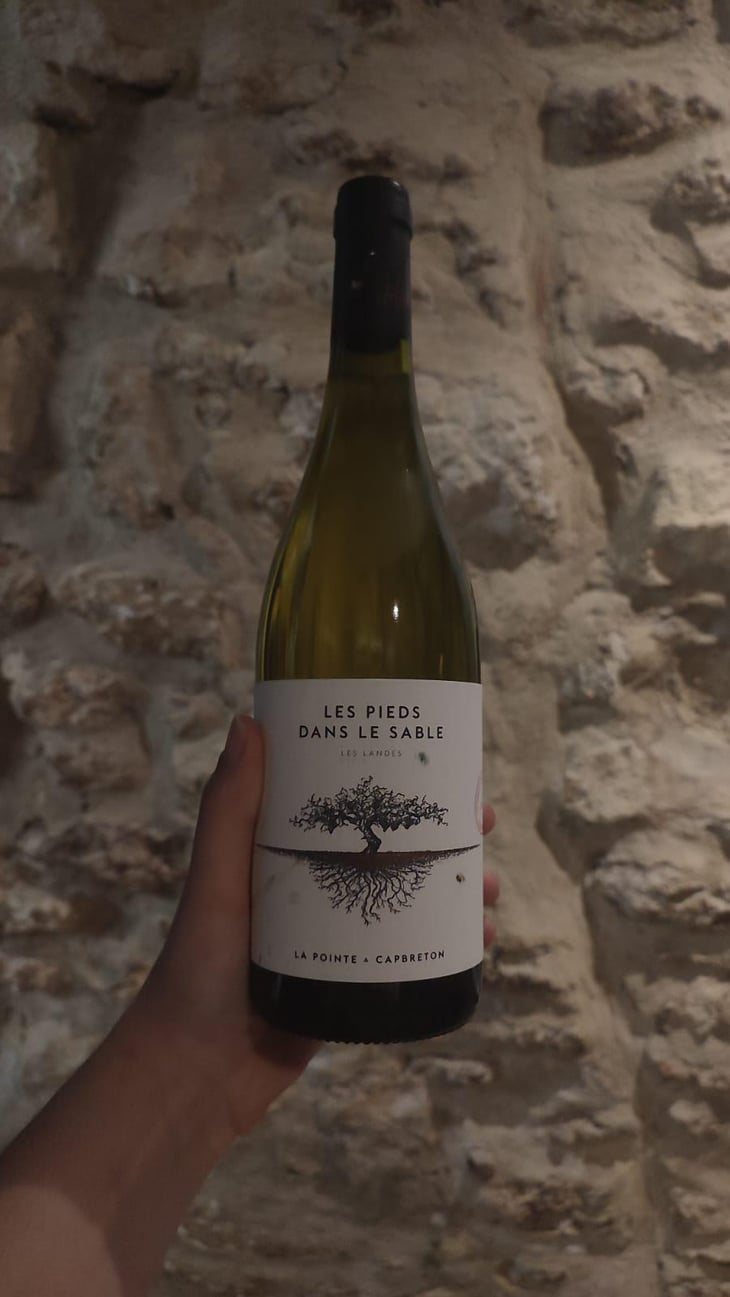Les Pieds Dans Le Sable - Domaine De La Pointe - Cyril & Julie Laudet -2020