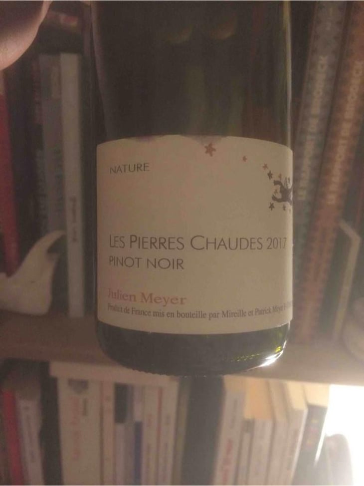 Les Pierres Chaudes Pinot Noir - Domaine Julien Meyer - Patrick Meyer 