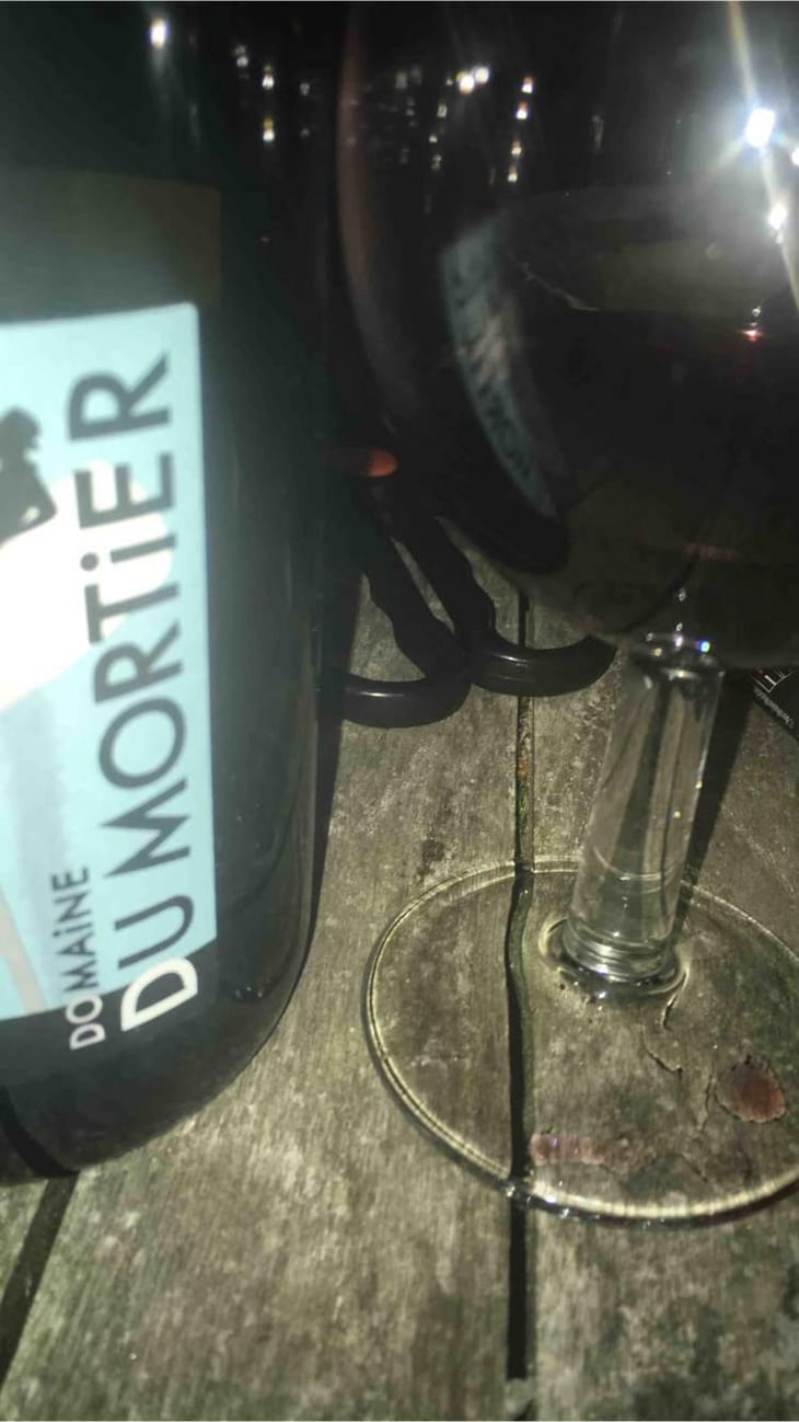 Les Pins - Domaine du Mortier - Fabien & Cyril Boisard -2018