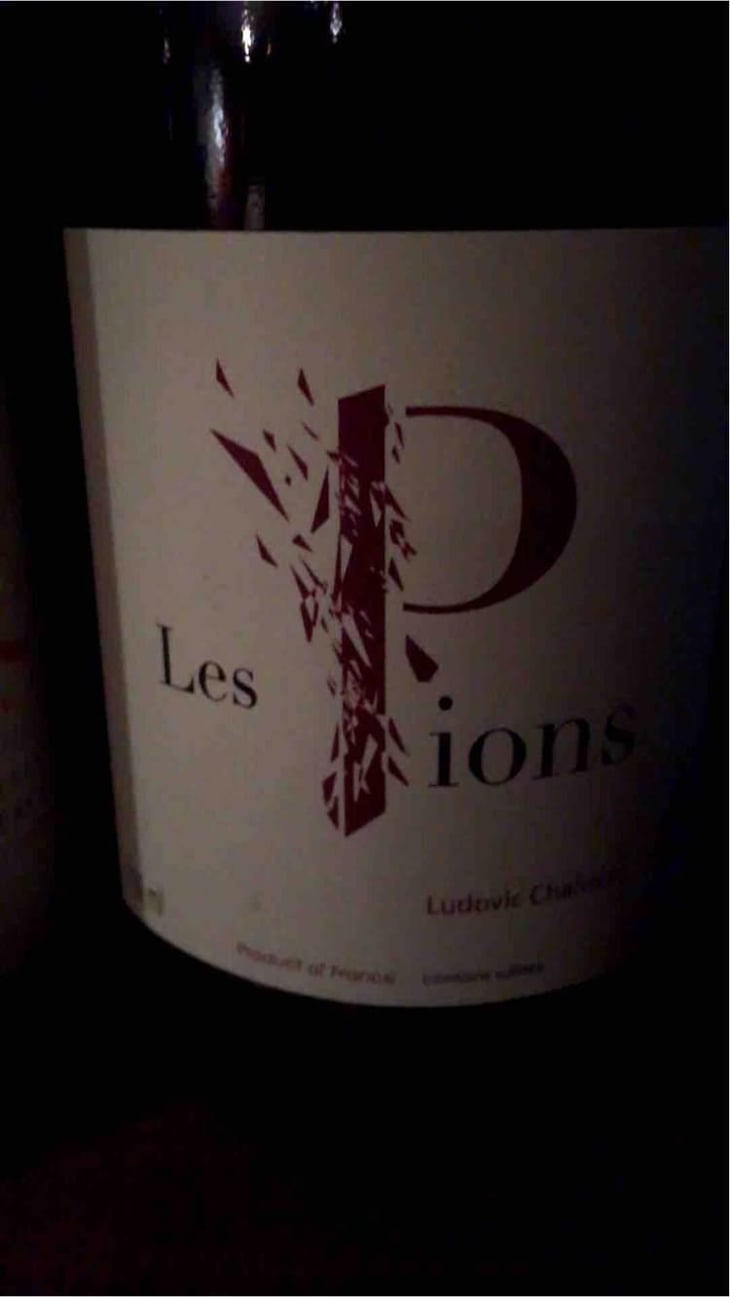 Les Pions - Ludovic Chanson - Ludovic Chanson 