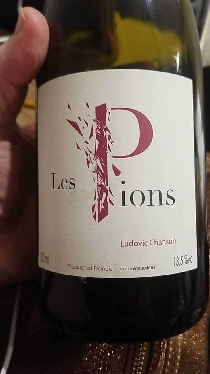Les Pions - Ludovic Chanson - Ludovic Chanson 