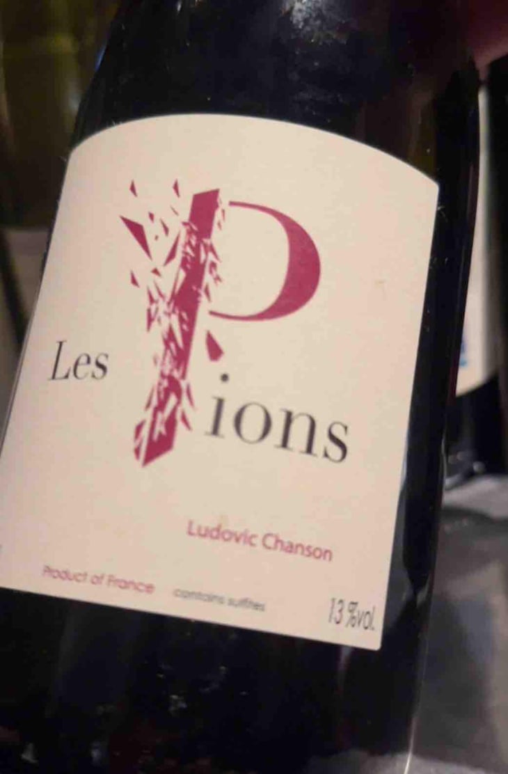 Les Pions - Ludovic Chanson - Ludovic Chanson 
