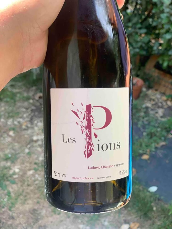 Les Pions - Ludovic Chanson - Ludovic Chanson 
