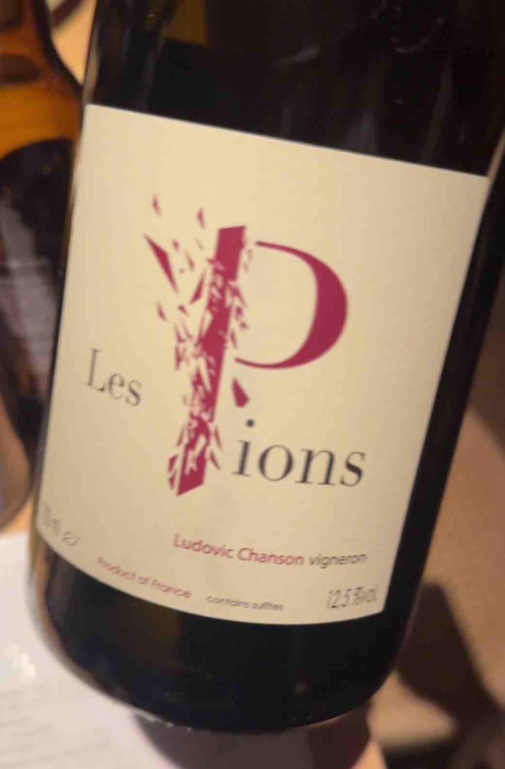 Les Pions - Ludovic Chanson - Ludovic Chanson 