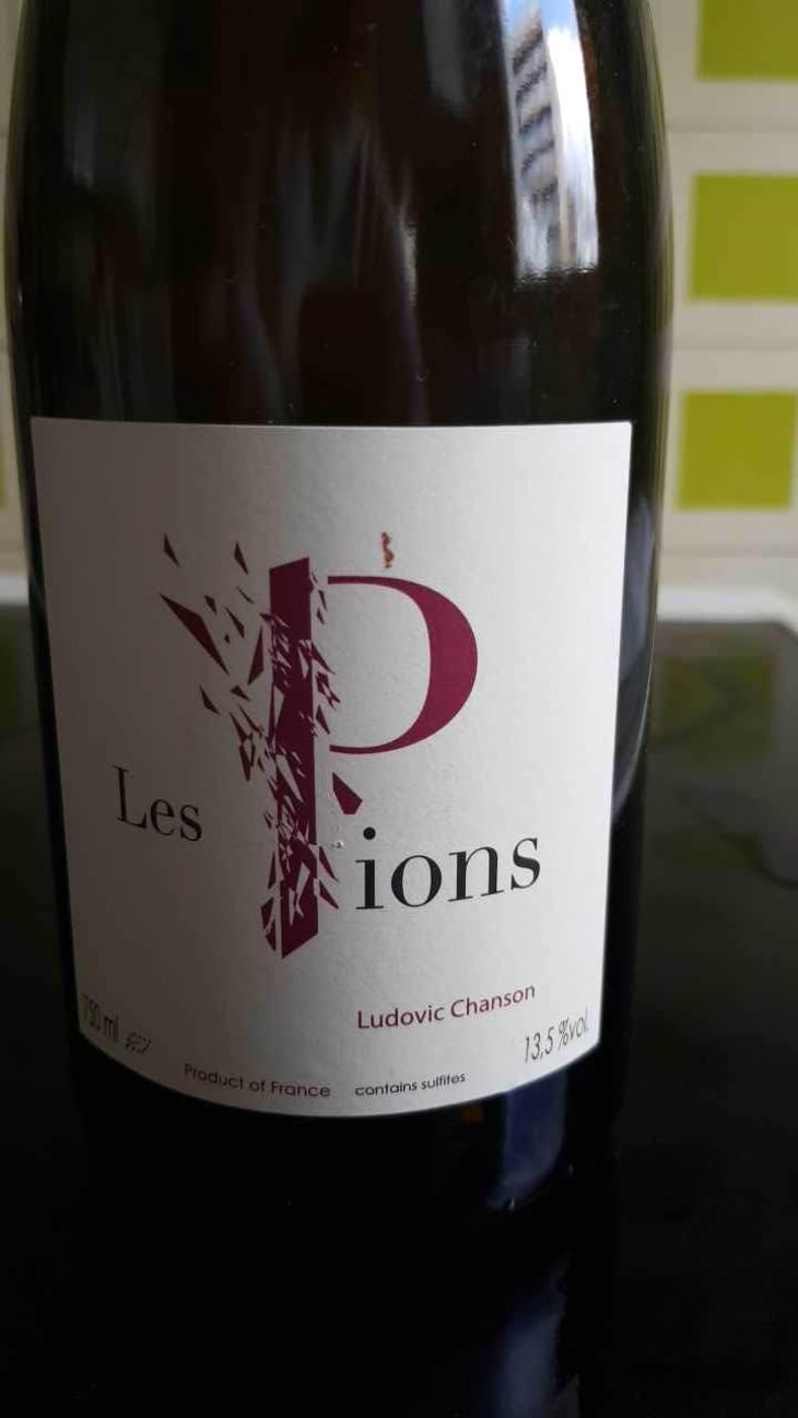 Les Pions - Ludovic Chanson - Ludovic Chanson 
