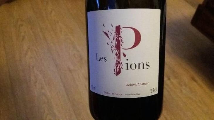 Les Pions - Ludovic Chanson - Ludovic Chanson 