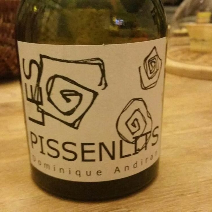 Les Pissenlits - Haut-Campagnau - Dominique Andiran 