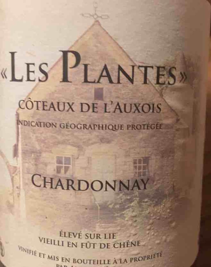 Les Plantes - Domaine Maître - Alain Maître 