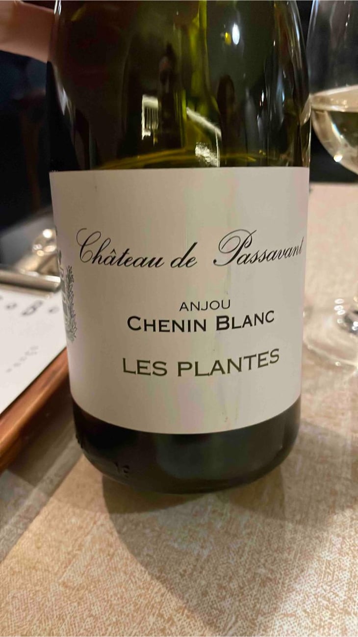 Les Plantes - Château de Passavant - Claire Lecomte, Olivier Lecomte & François David -2019