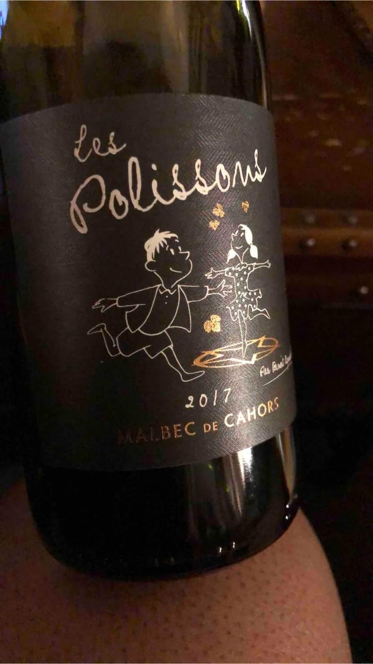 Les Polissons - Clos d’Audhuy - Benoit Aymard -2016