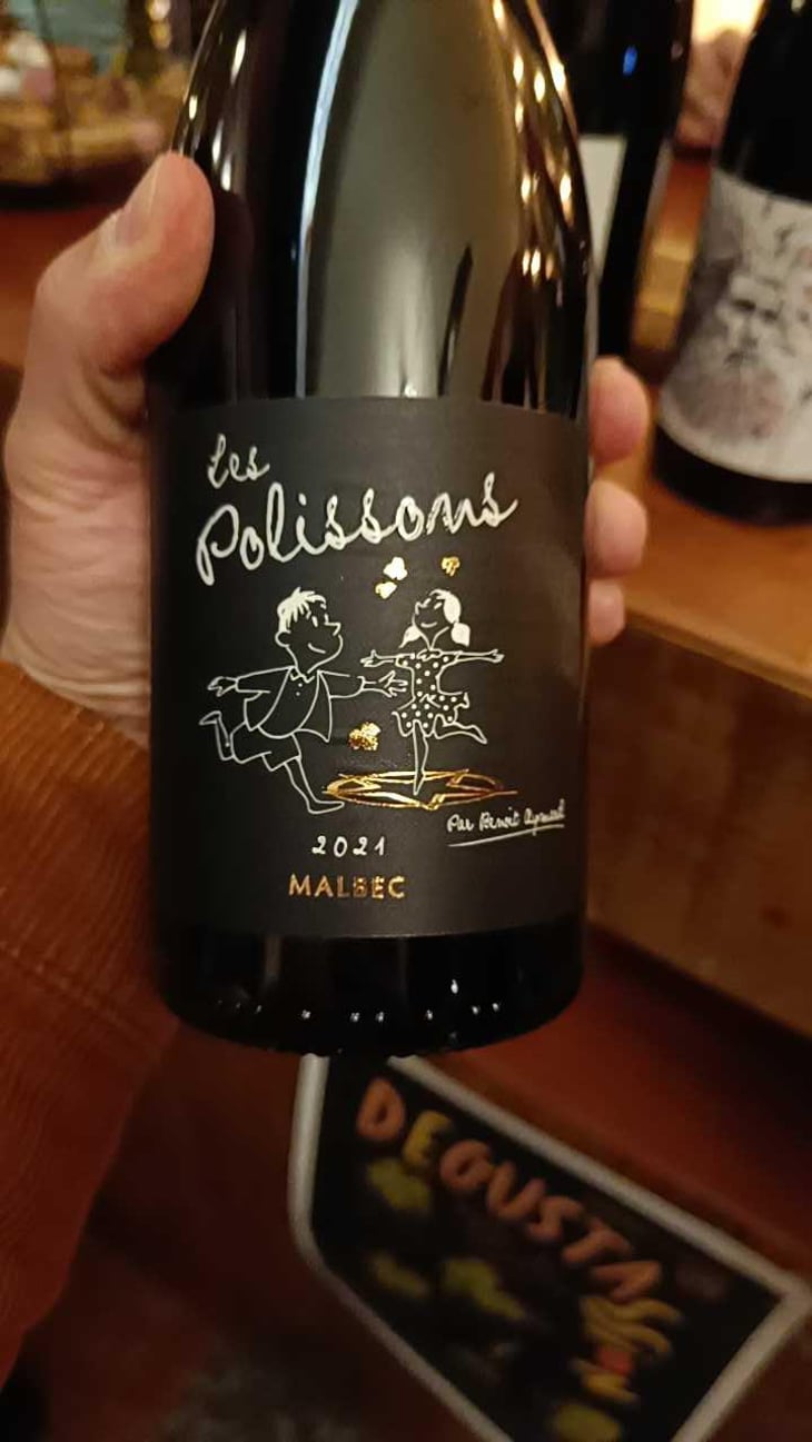 Les Polissons - Clos d’Audhuy - Benoit Aymard -2016