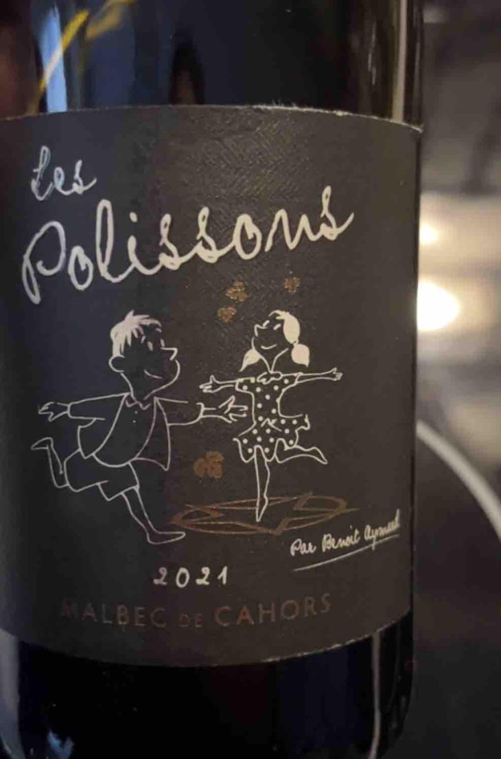 Les Polissons - Clos d’Audhuy - Benoit Aymard -2016